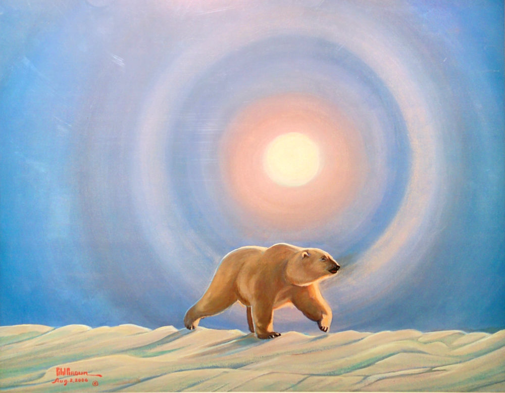 Polar Parhelion