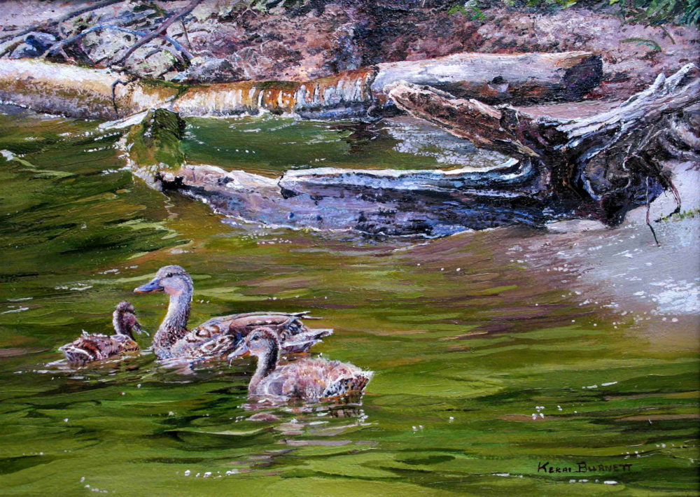Pond in Green