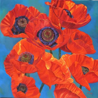 Poppies - Andrew Kiss