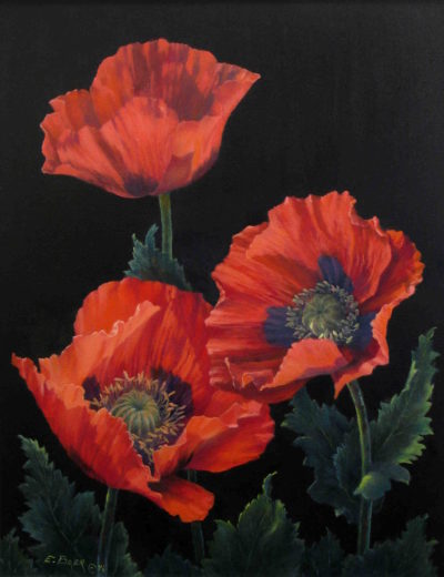 Poppies Elsie Baer