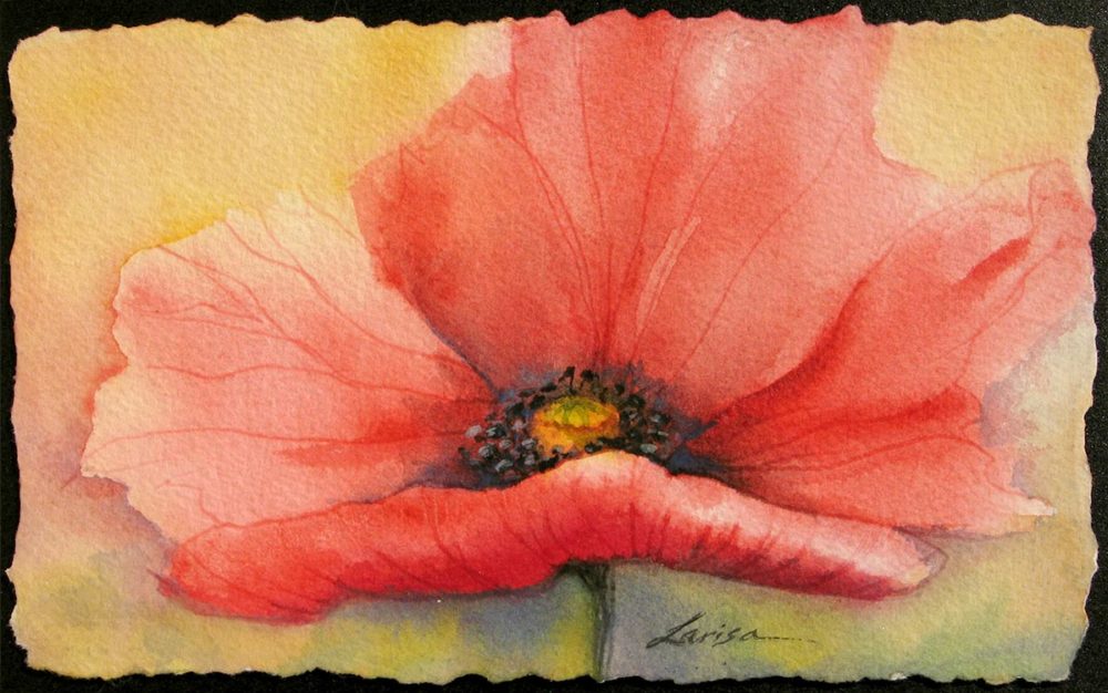 Poppy Study #4 - Larisa Cheladyn