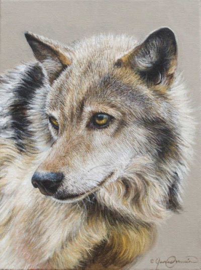 Portrait Of A Wolf James Corwin