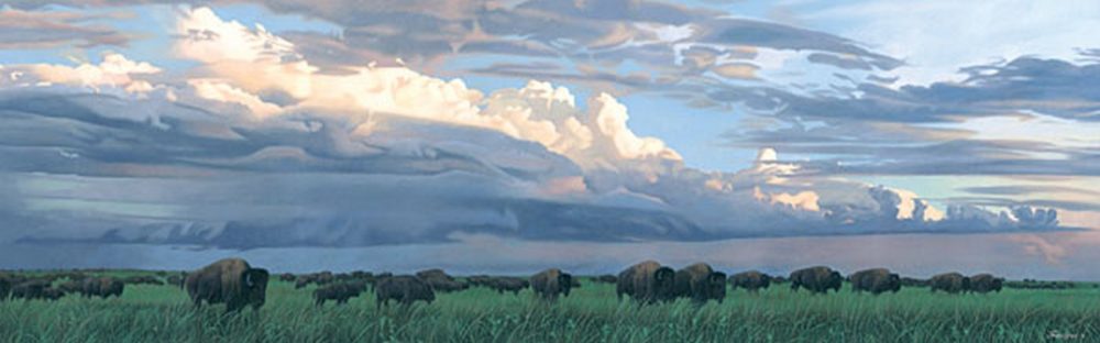 Prairie Thunder