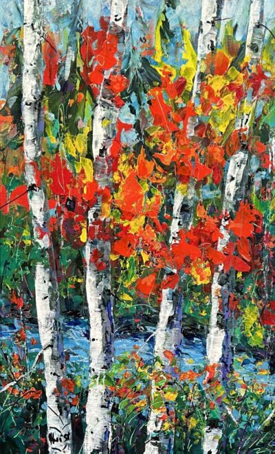 birch trees forest