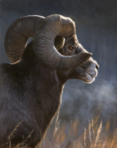 Ram-Study-web