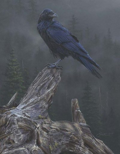 Raven's Roost - Daniel Smith