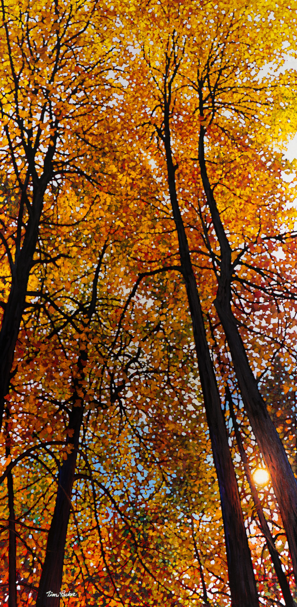 Reaching for Gold