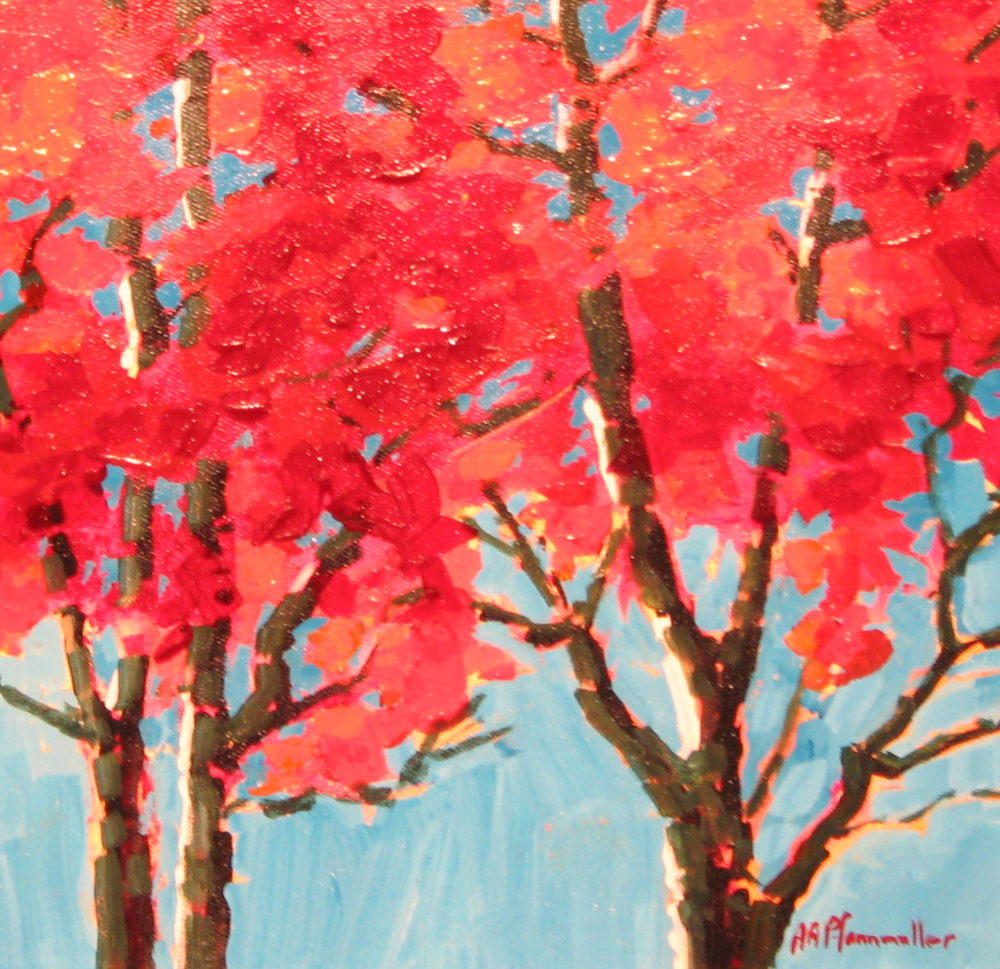 Red Canopy