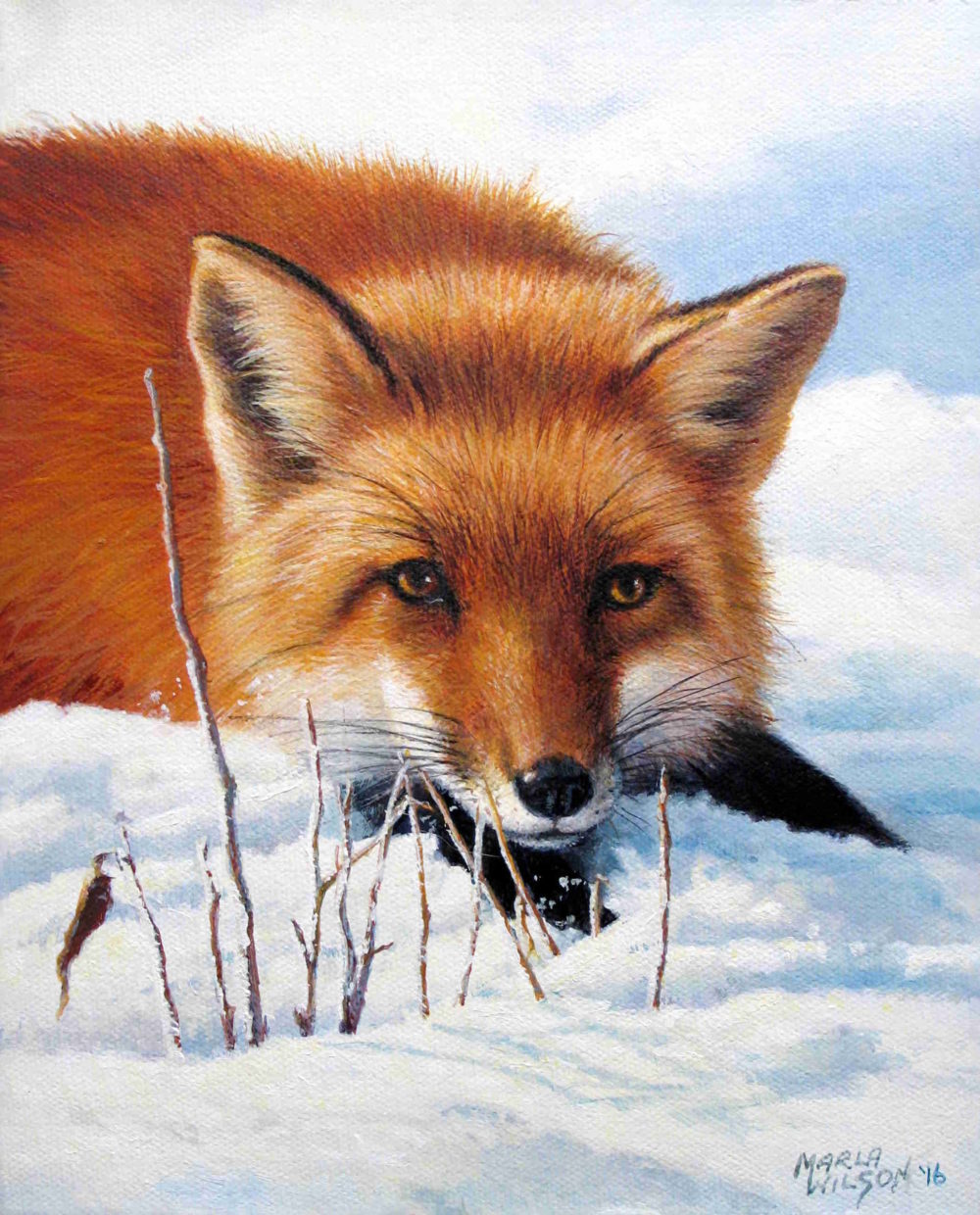 Red Fox