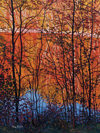 Reflections Of Autumn Tim Packer