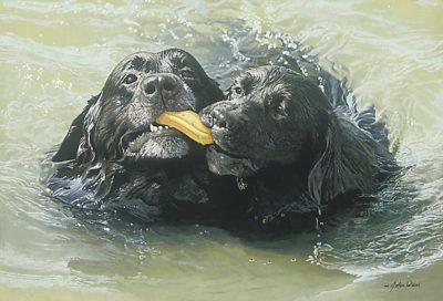 Retrievers John Weiss