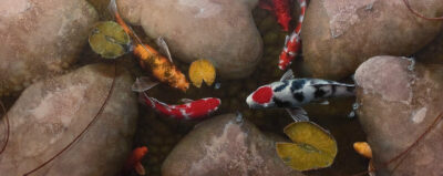 Rising Sun and koi fish