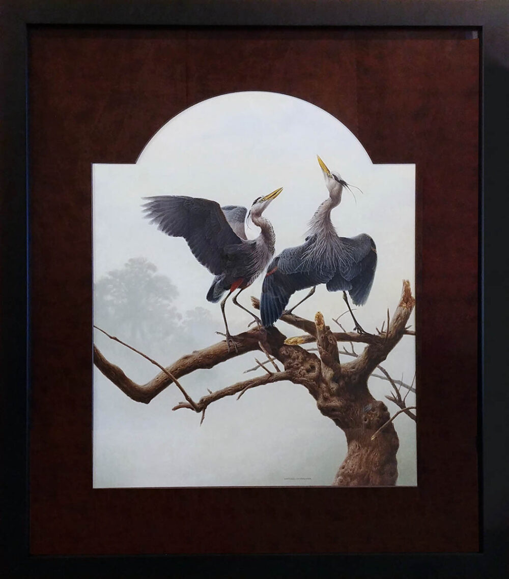 Ritual - Great Blue Herons - Michael Dumas