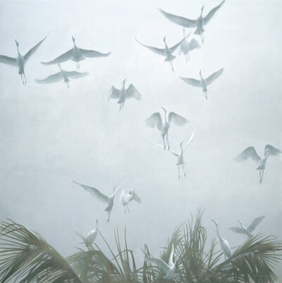 Robert-Bateman-Egrets-of-the-Sacred-Grove-Original-Painting