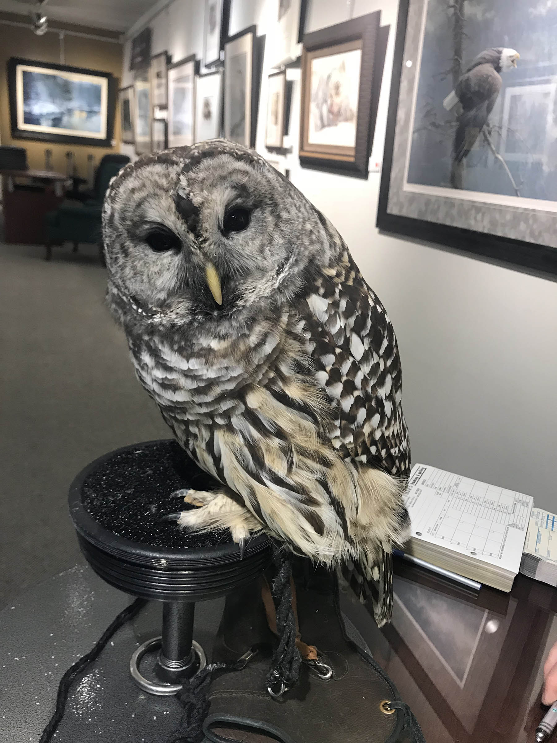Robert Bateman Event Photo 1