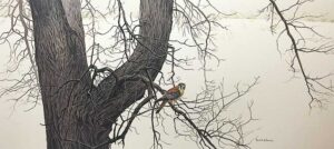 Robert-Bateman-Winter-Elm-American-Kestrel