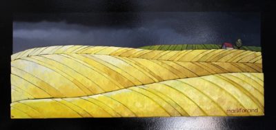 Rolling Canola - Mark Farand