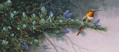 Rufus Hummingbird And Mountain Hemlock Wildflower Suite Stephen Lyman