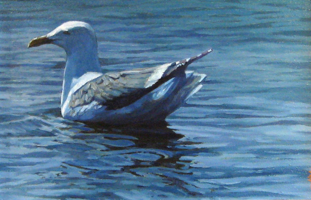 Sailing Solo