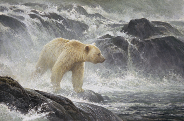 Salmon Watch - Spirit Bear - Robert Bateman