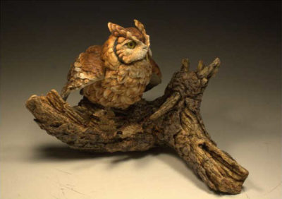 Screech Owl Paul Brunelle