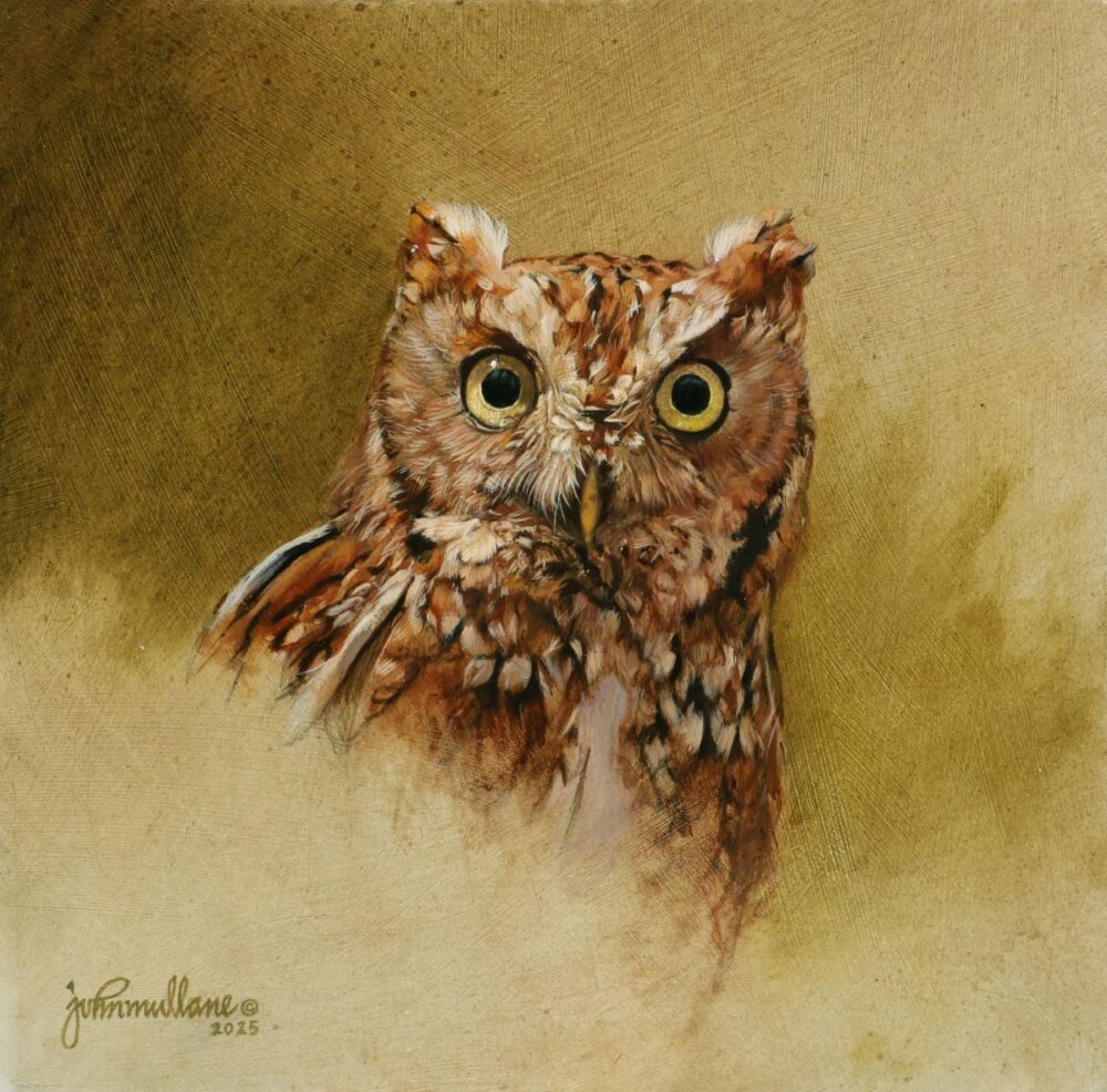 Owl