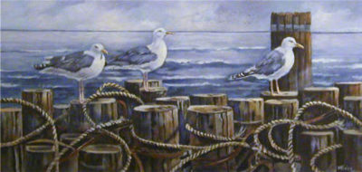 Seagulls Welcome Joan Healey
