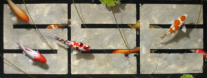 See-18x48-finish