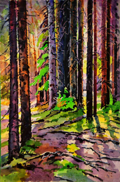 Shadows On The Trail To Chephren Lake Banff Gregg Johnson