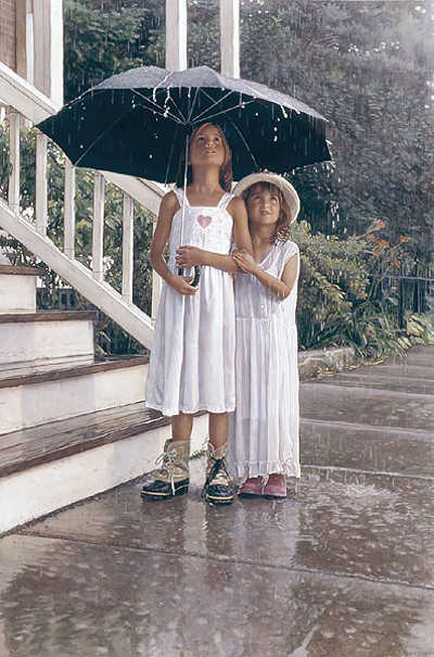 Shelter For The Heart Steve Hanks