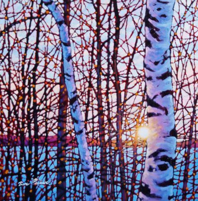 Shining Birches Lake Baptiste Tim Packer