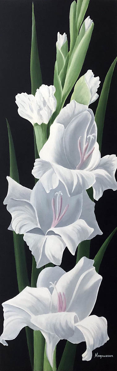 Single White Gladiolus - Dennis Magnusson