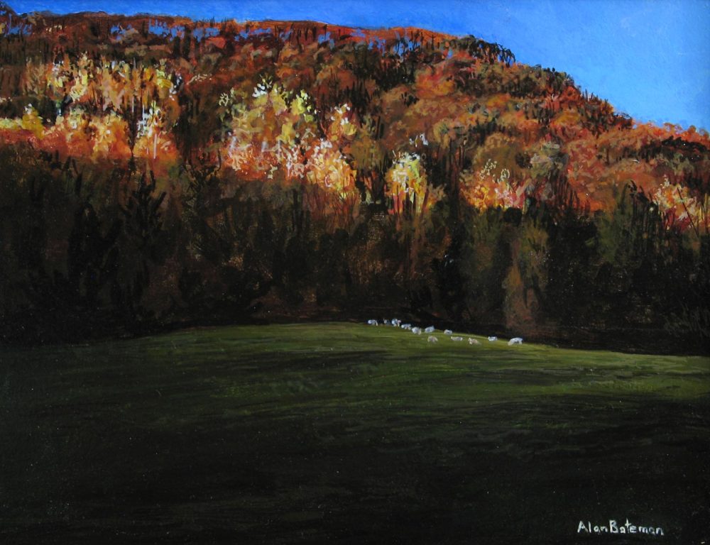 Small Flock of Sheep - Alan Bateman