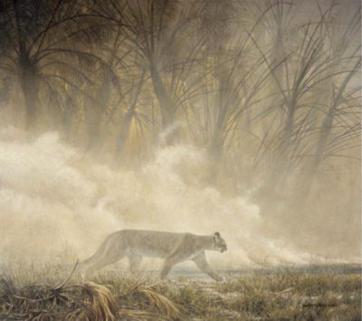 Smoke Screen Robert Bateman