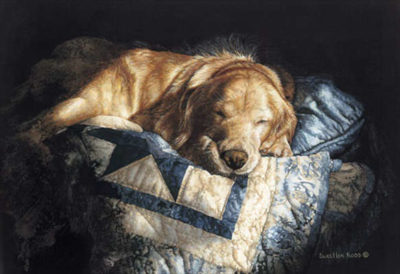 Snooze Sueellen Ross