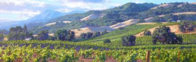 Song Of The Wine Country June Carey