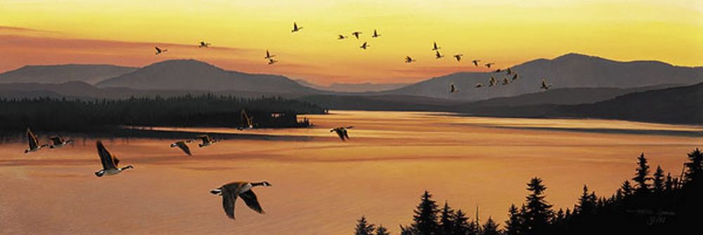 Sounds of Sunset