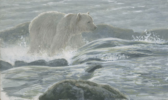 Spirit Bear by the Rock - Robert Bateman