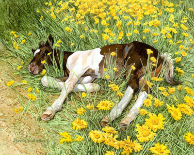 horse lying in flowers