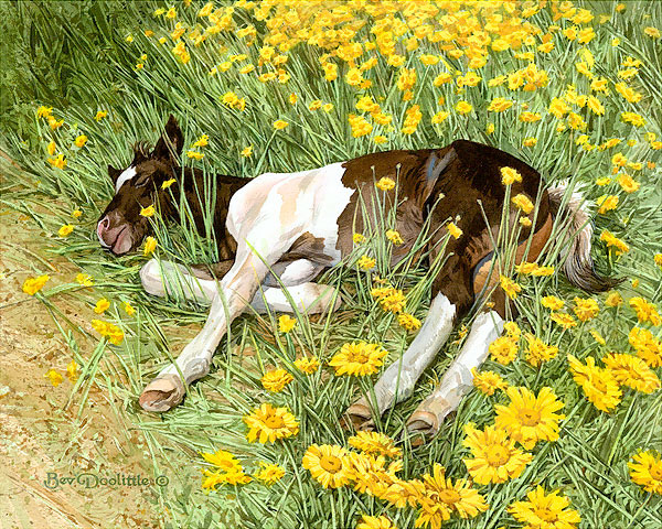 horse lying in flowers