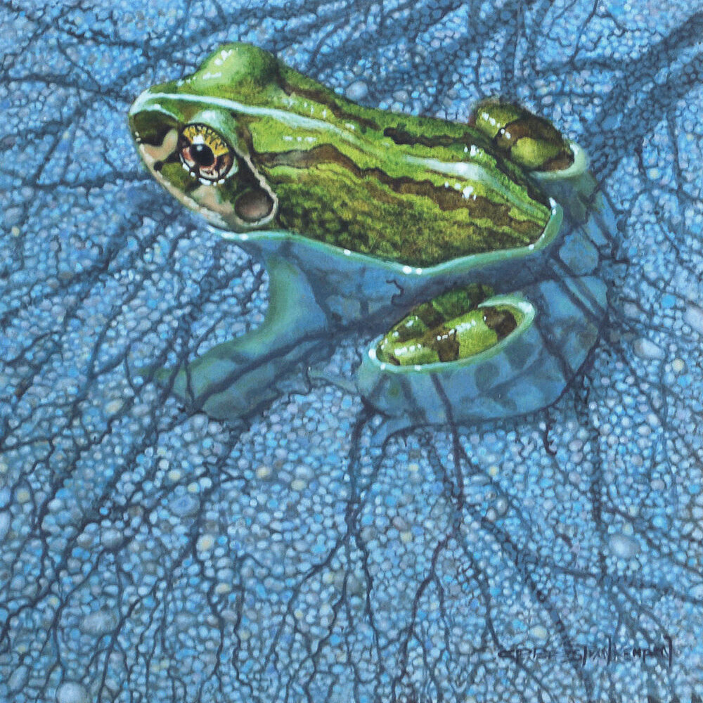 Spring Shallows - Carel Brest van Kempen
