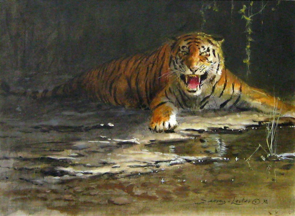 Study for Tiger Fear