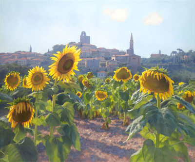 Sunflowers Of Castiglion Fiorentino June Carey