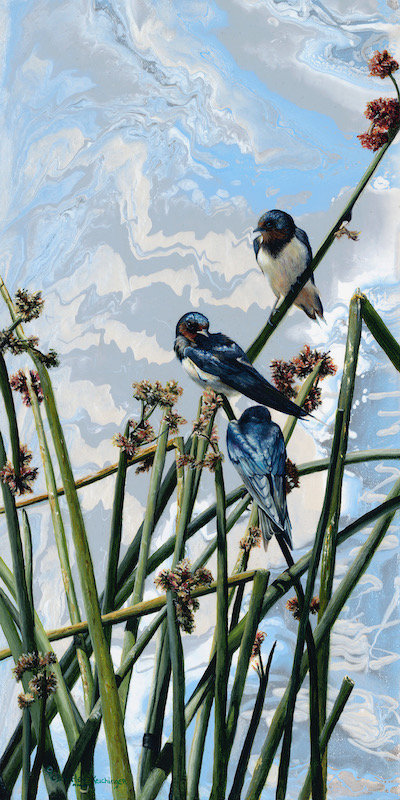 Swallow Dream - Cindy Sorley-Keichinger