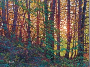 Tangled Forest - Tim Packer