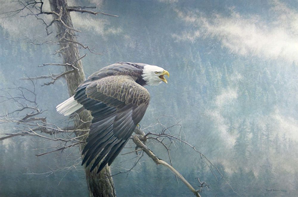 The Air, the Forest, and the Watch - Robert Bateman