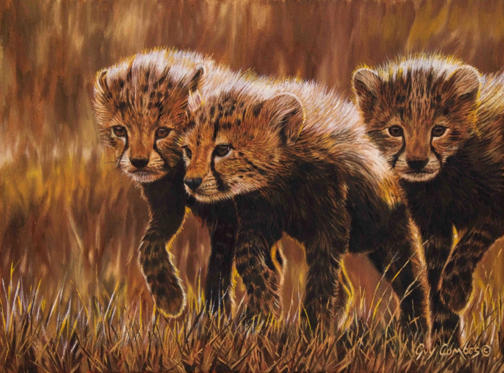Guy Combes Original Art Picture This Framing Gallery