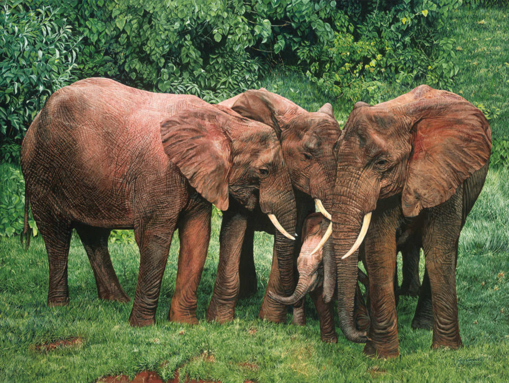 The Creche