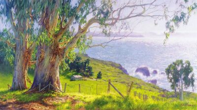 The Eucalyptus Coast June Carey