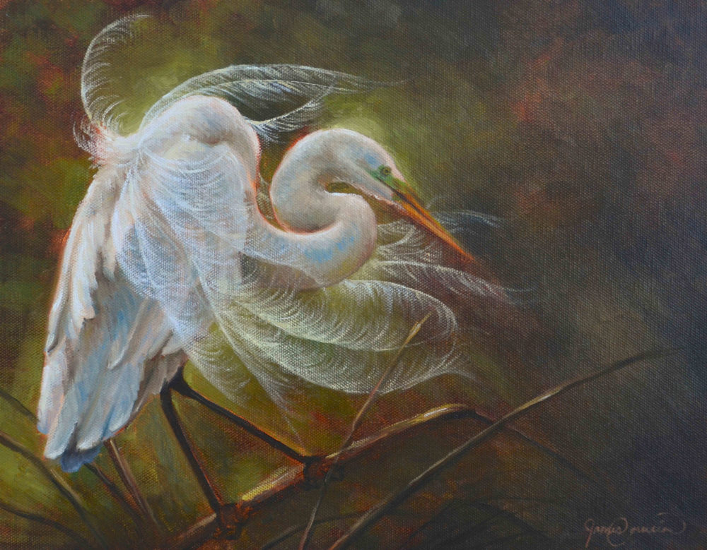 The Great Egret
